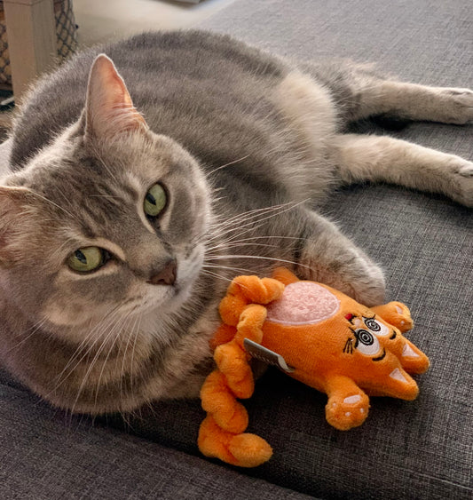 Boîte cadeaux pour chats Chakra