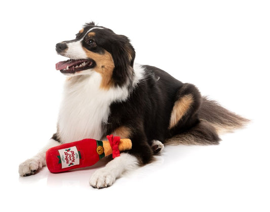 Pack Merry & Bright Chompagne + Kiwi Walker