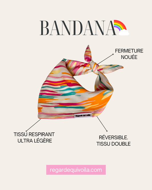 Bandana Rainbow