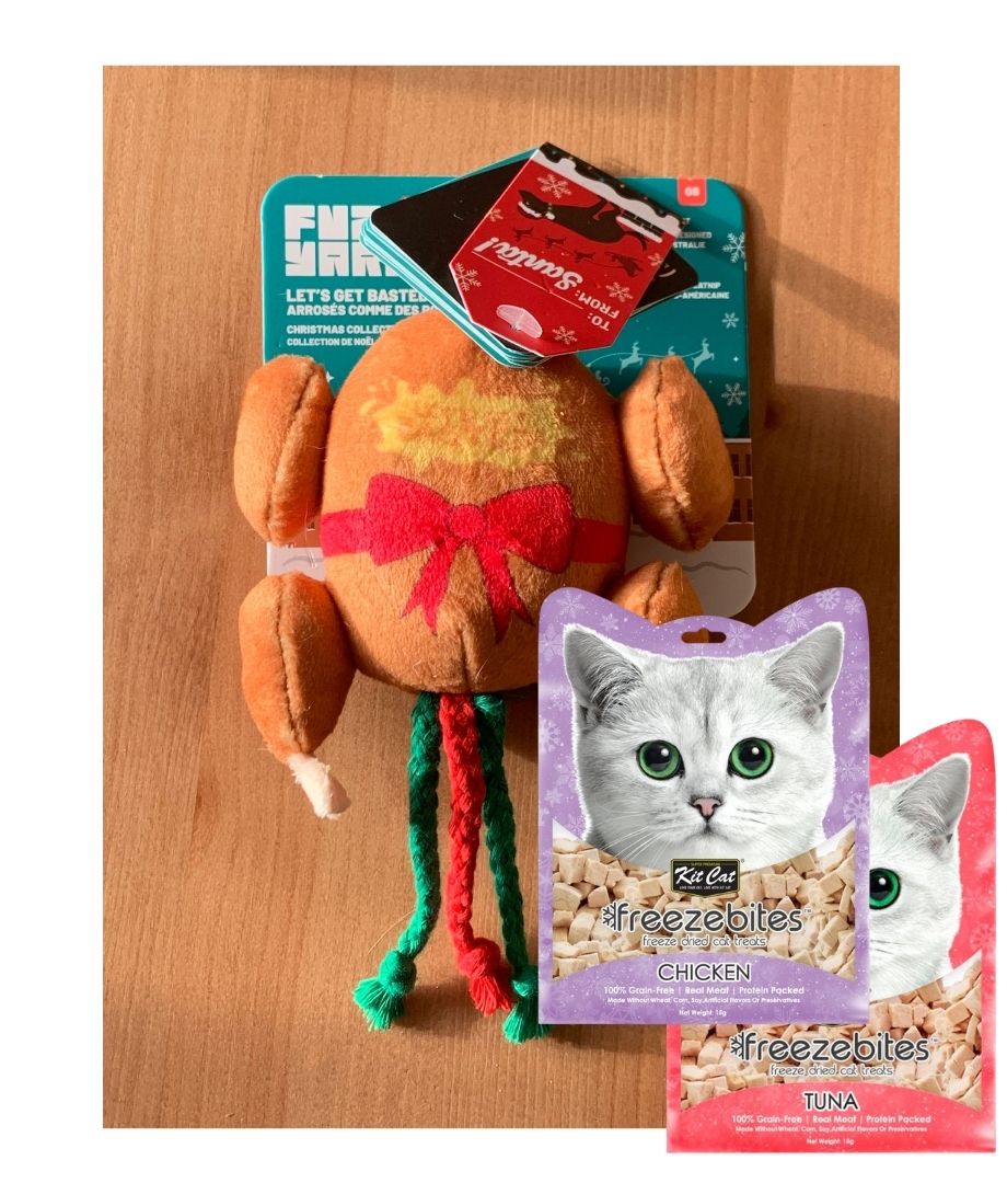 Dinde de Noël pour chats + KitCat x 2