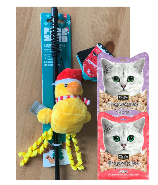 P'tit Canard des Fêtes + KitCat x2