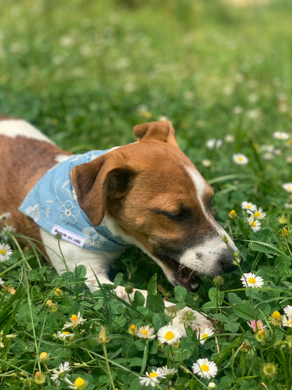 Bandana Samba