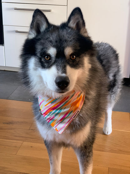Bandana Rainbow