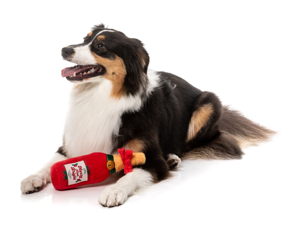 Pack Merry & Bright Chompagne + Kiwi Walker