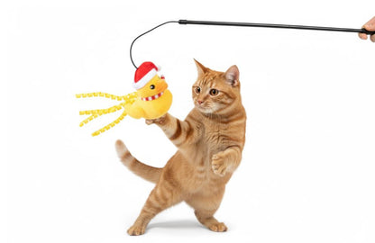 P'tit Canard des Fêtes + KitCat x2