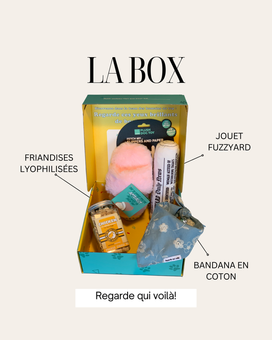 Boîte cadeaux Fetch pour chiens my slipers & paper!