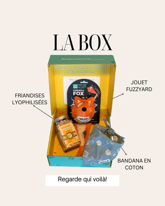 Boîte cadeaux pour chiens Yeetz