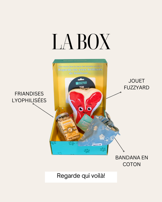 Boîte cadeaux pour chiens Meat Head