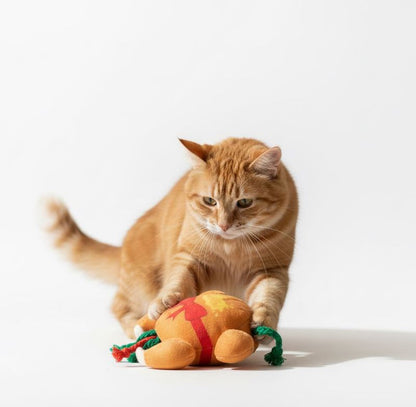 Dinde de Noël pour chats