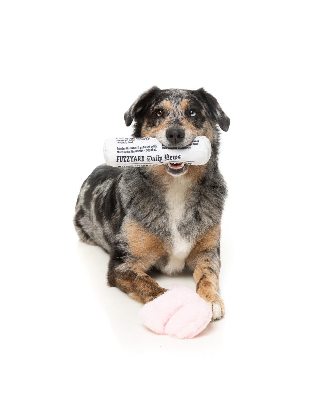 Boîte cadeaux Fetch pour chiens my slipers & paper!