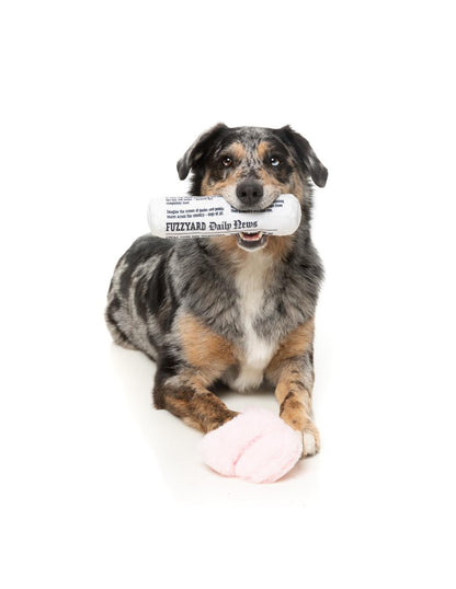Boîte cadeaux Fetch pour chiens my slipers & paper!